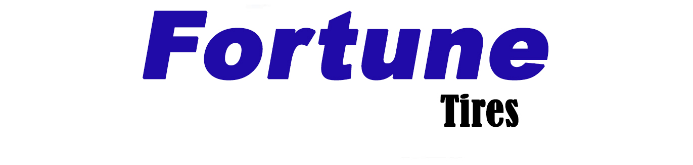 275/45 R21 Fortune FSR-303 110Y 275/45 R21 Fortune FSR-303 110Y